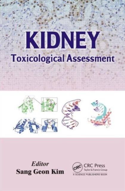 Kidney