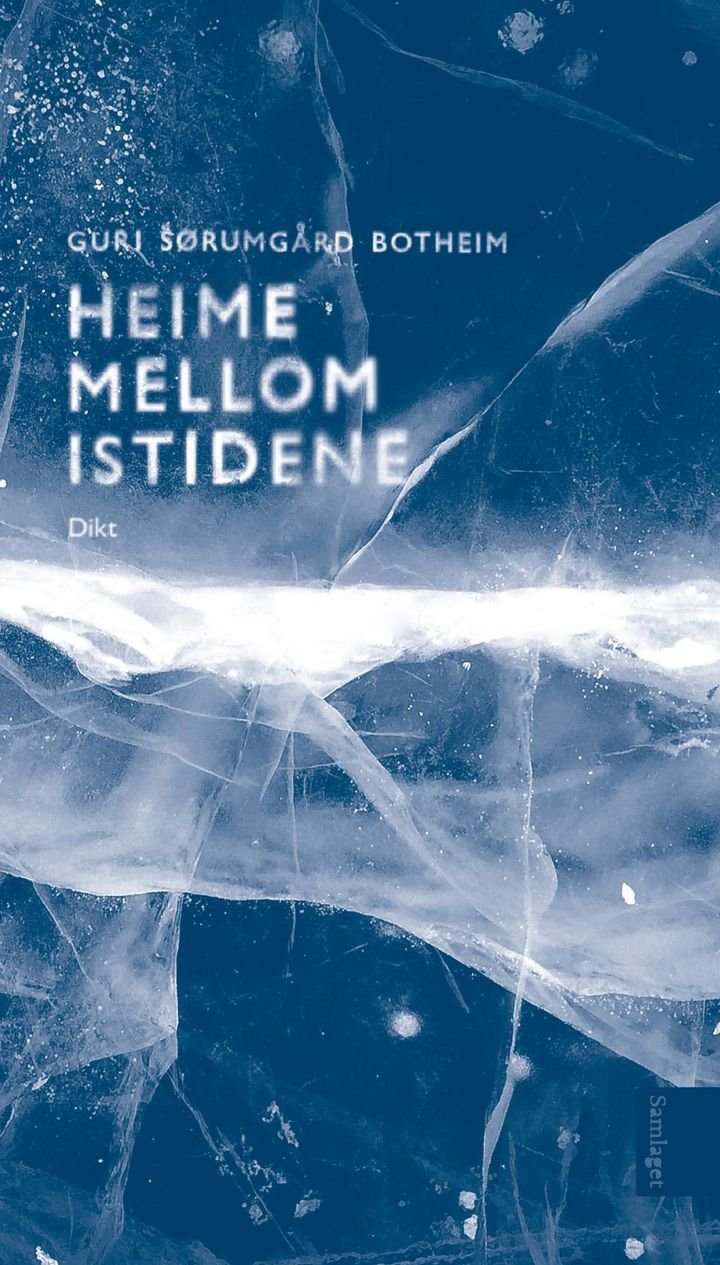 Heime mellom istidene - dikt
