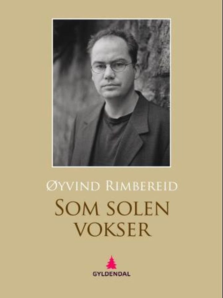Som solen vokser - roman