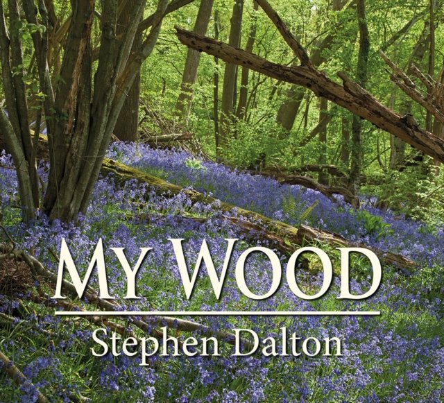 My Wood