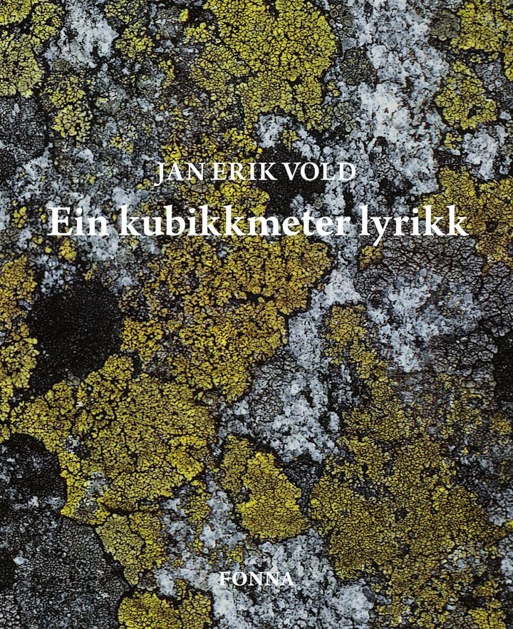 Ein kubikkmeter lyrikk - tolv årgangar norsk poesi sitert og kommentert