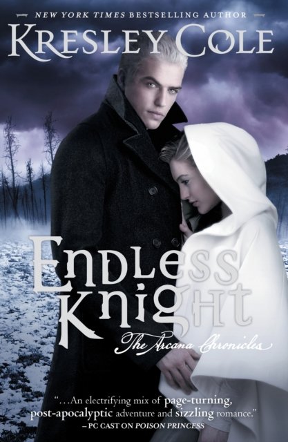 Endless Knight
