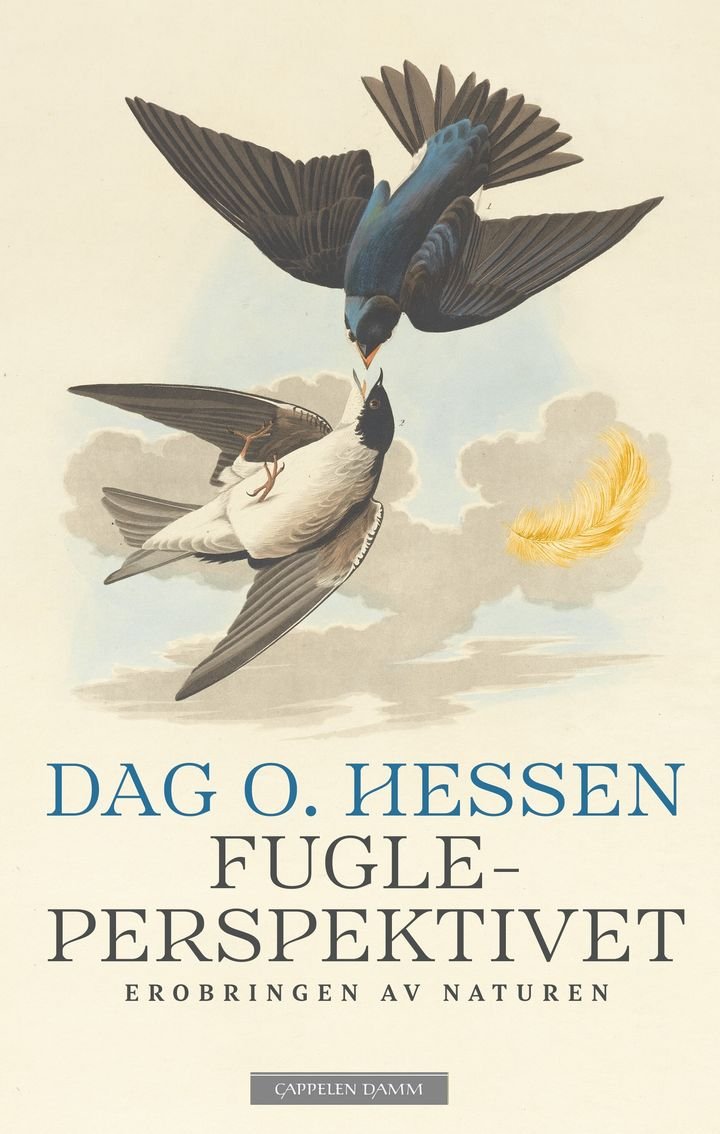 Fugleperspektivet - erobringen av naturen