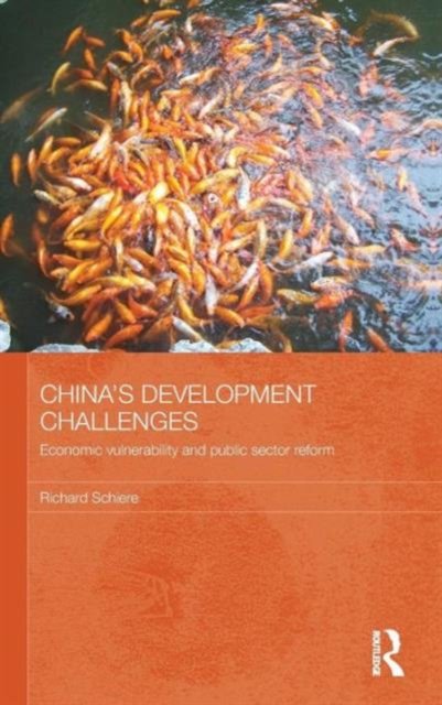 China''s Development Challenges