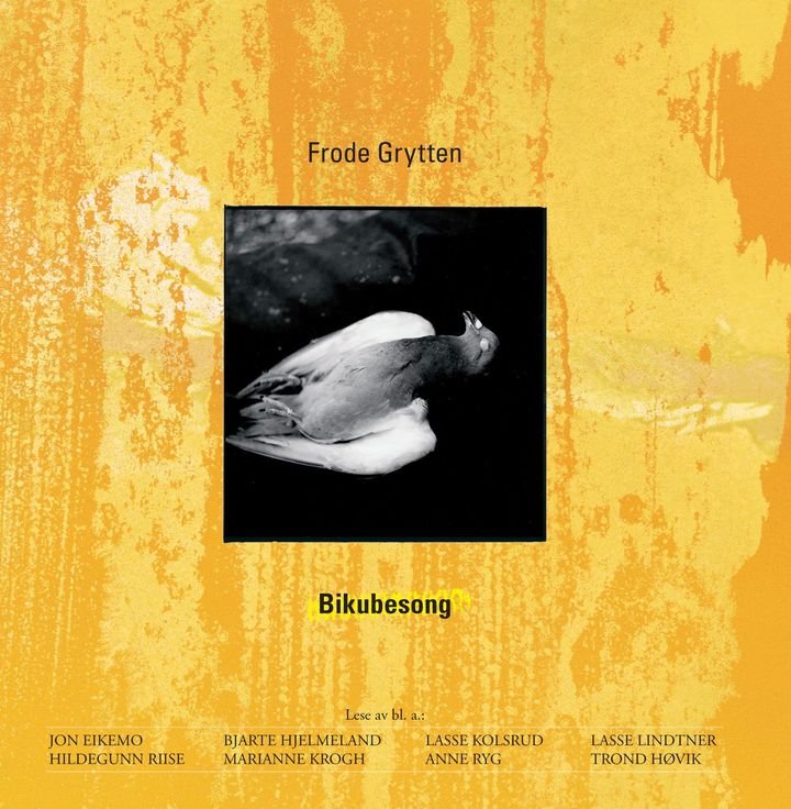 Bikubesong - roman
