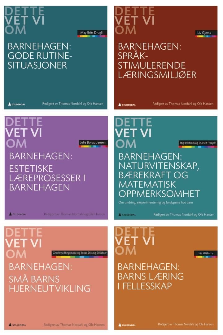 Dette vet vi om barnehagen - samlepakke 2