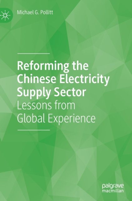 Reforming the Chinese Electricity Supply Sector