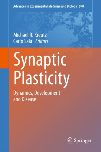 Synaptic Plasticity