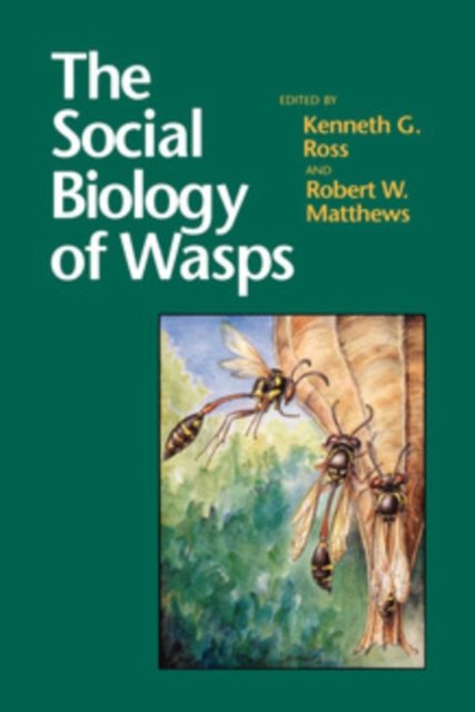 The Social Biology of Wasps