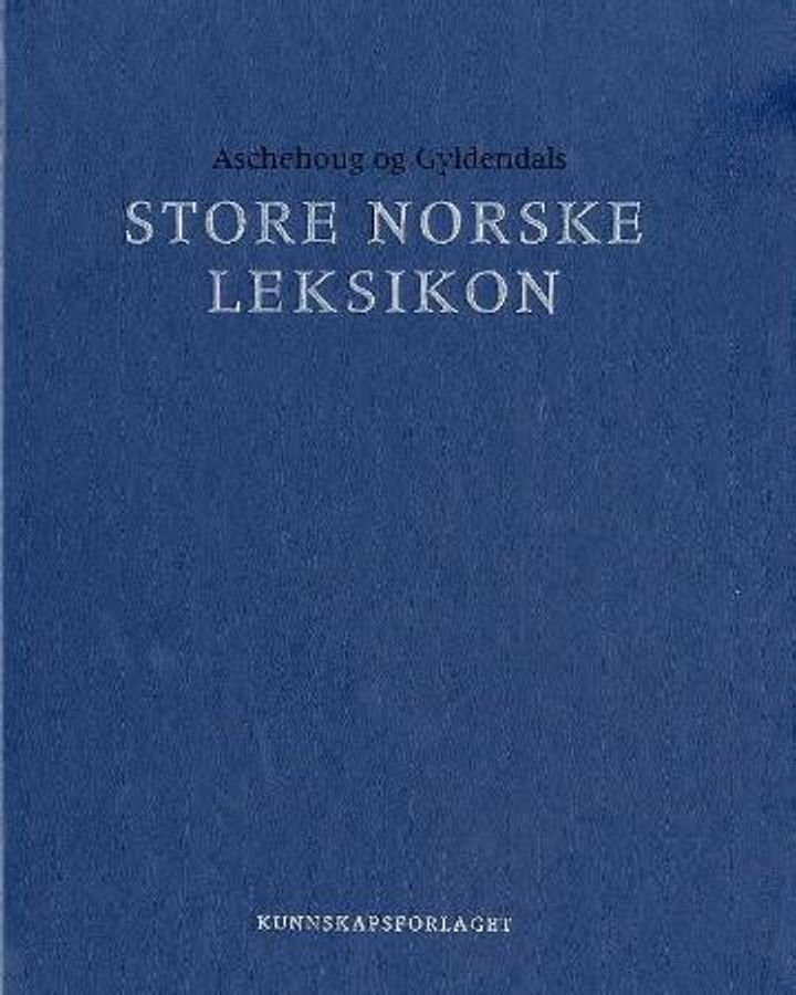Aschehoug og Gyldendals store norske leksikon. Bd. 13