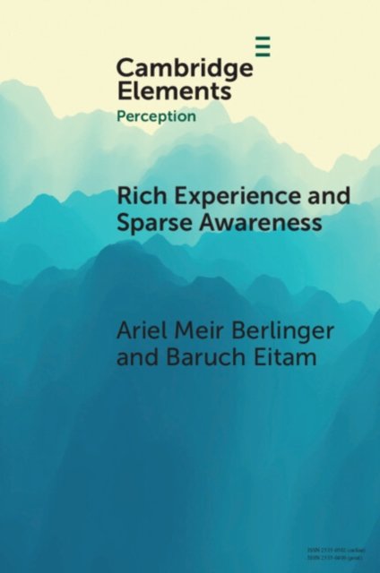 Rich Experience and Sparse Awareness