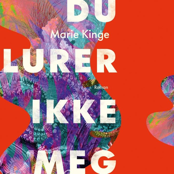 Du lurer ikke meg