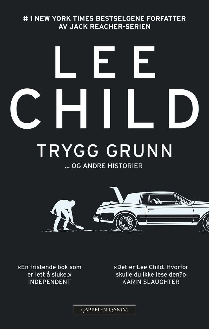 Trygg grunn - og andre historier