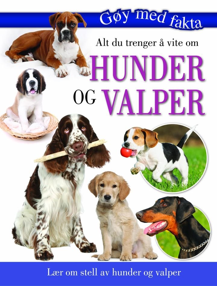 Alt du trenger å vite om hunder og valper