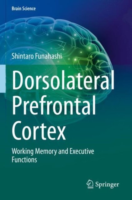 Dorsolateral Prefrontal Cortex