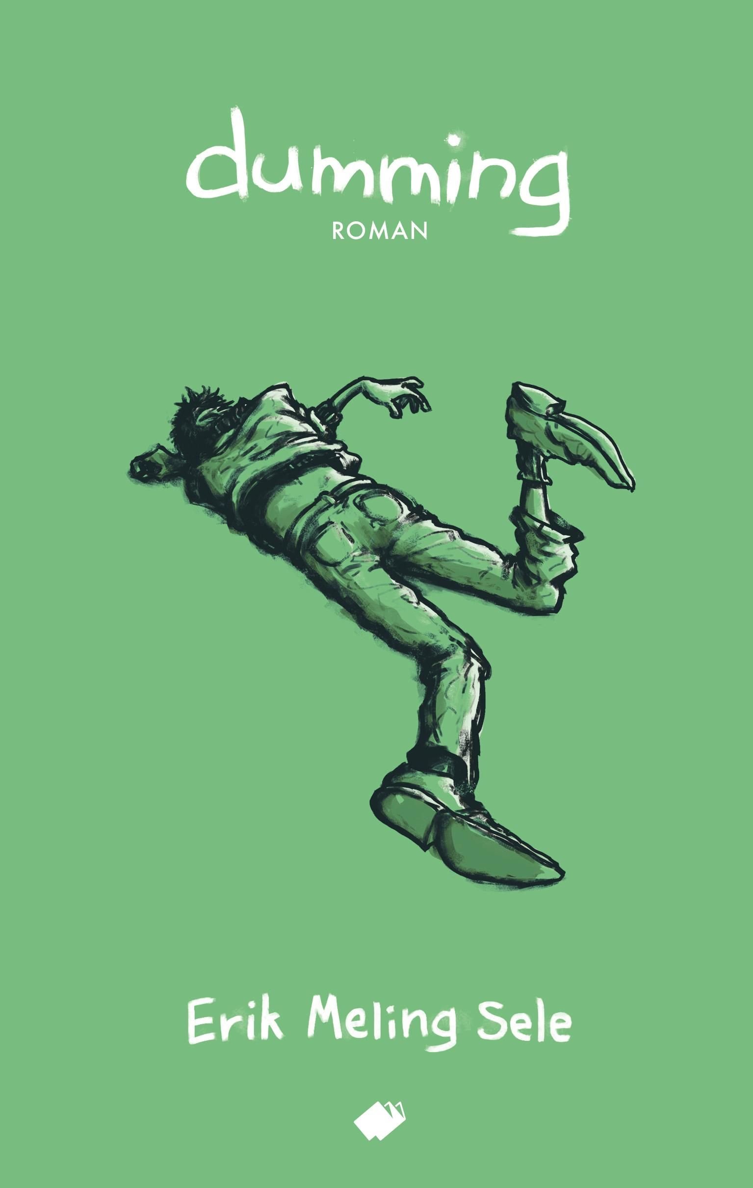 Dumming - roman