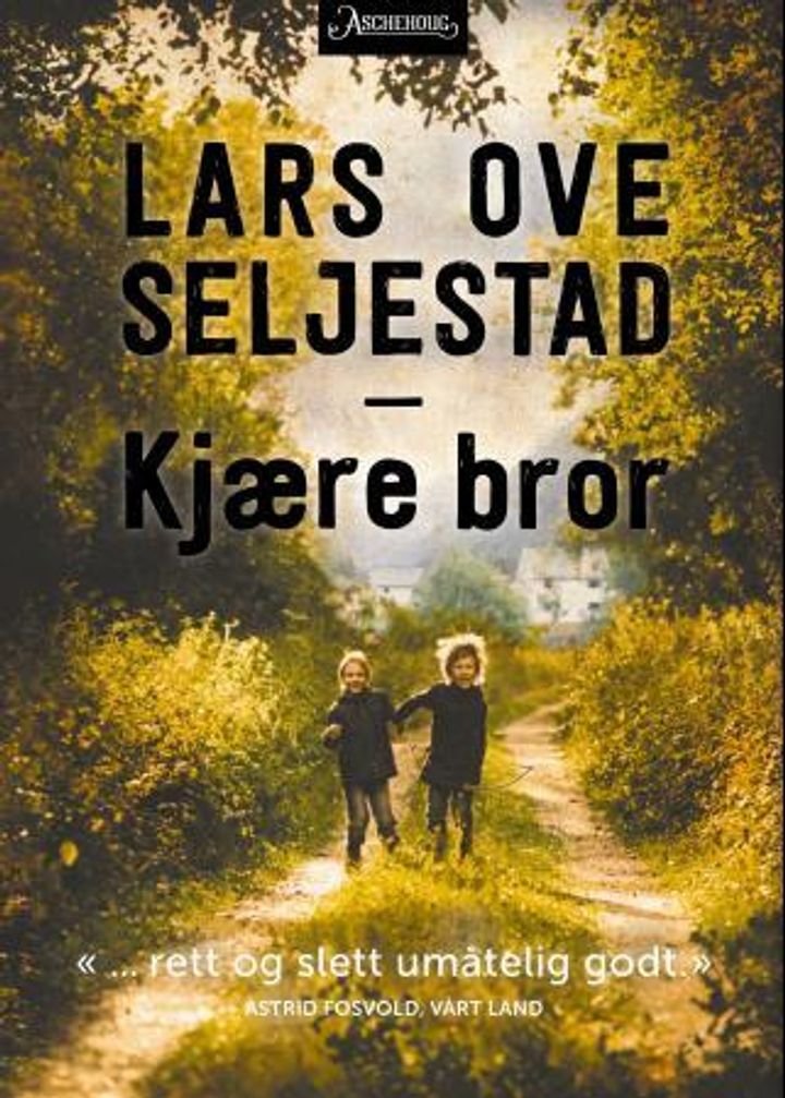 Kjære bror - roman
