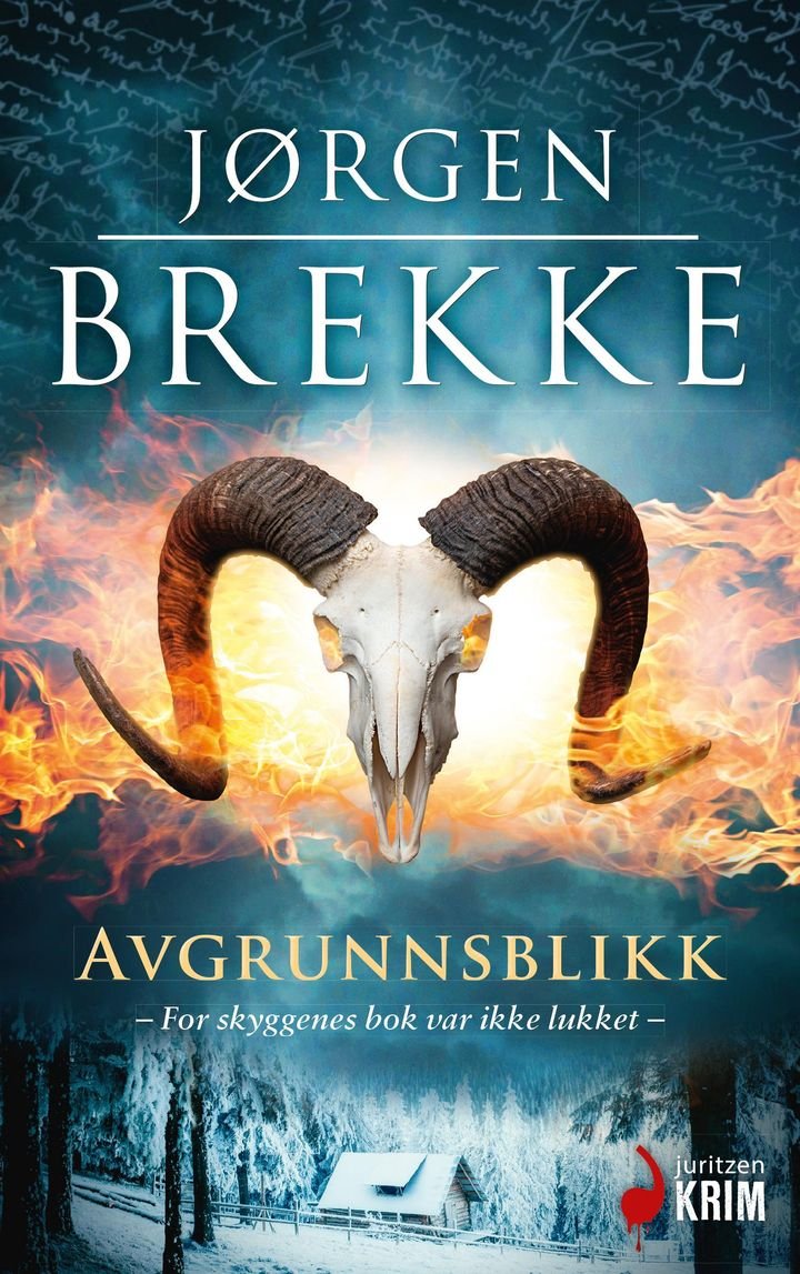 Avgrunnsblikk - kriminalroman
