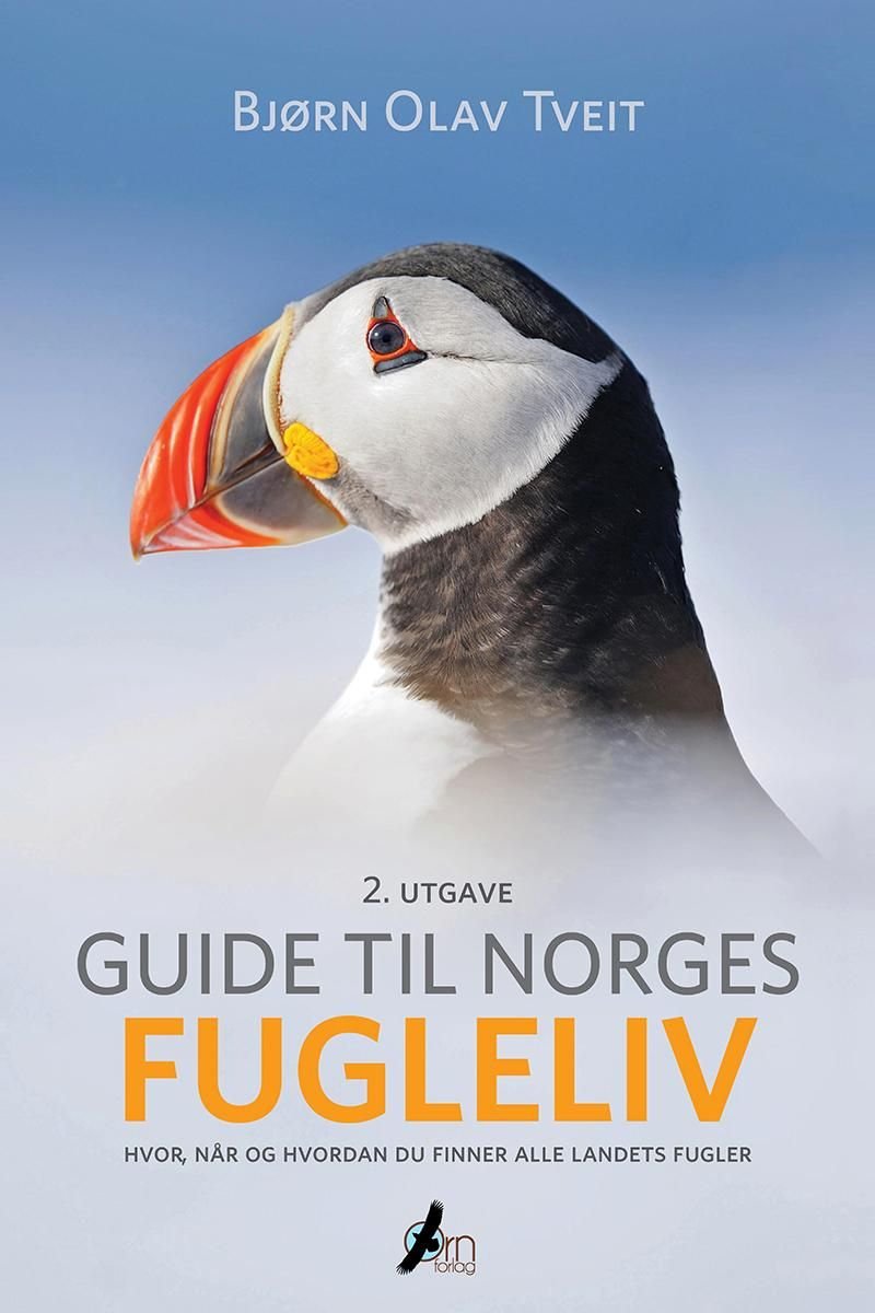 Guide til Norges fugleliv av Bjørn Olav Tveit