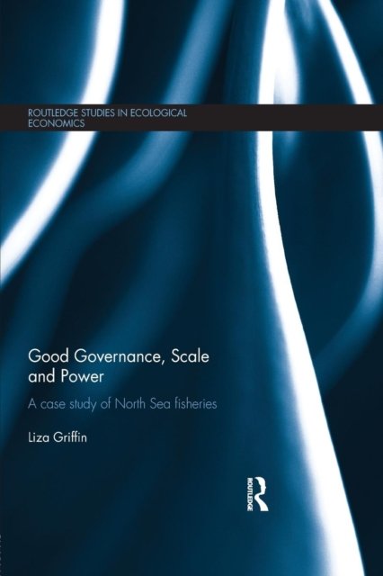 Good Governance, Scale and Power