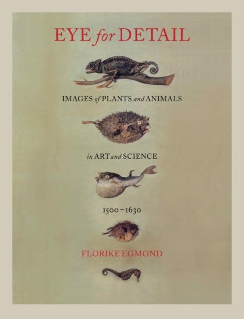Eye for Detail – Images of Plants and Animals in Art and Science, 1500–1630