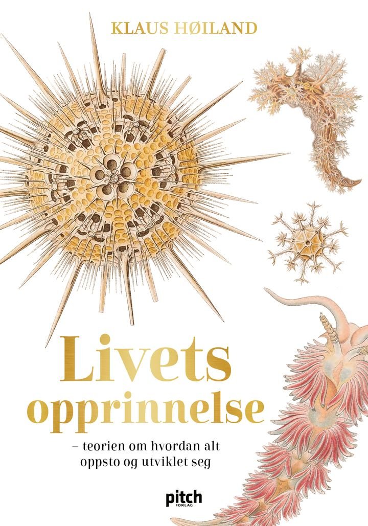 Livets opprinnelse - teorien om hvordan alt oppsto og utviklet seg