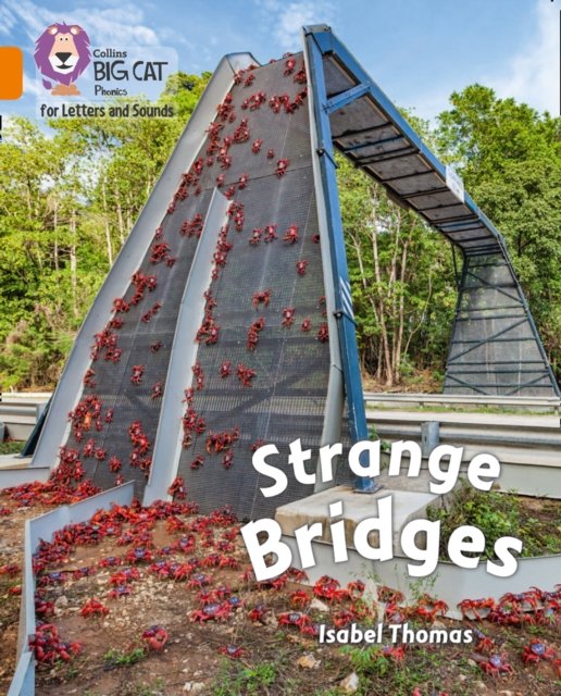 BIG CAT - STRANGE BRIDGES