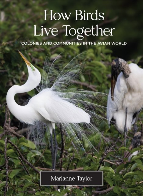 How Birds Live Together – Colonies and Communities in the Avian World