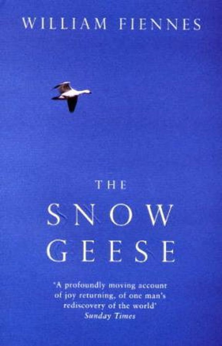 The snow geese
