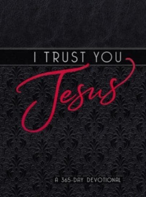 I Trust You Jesus