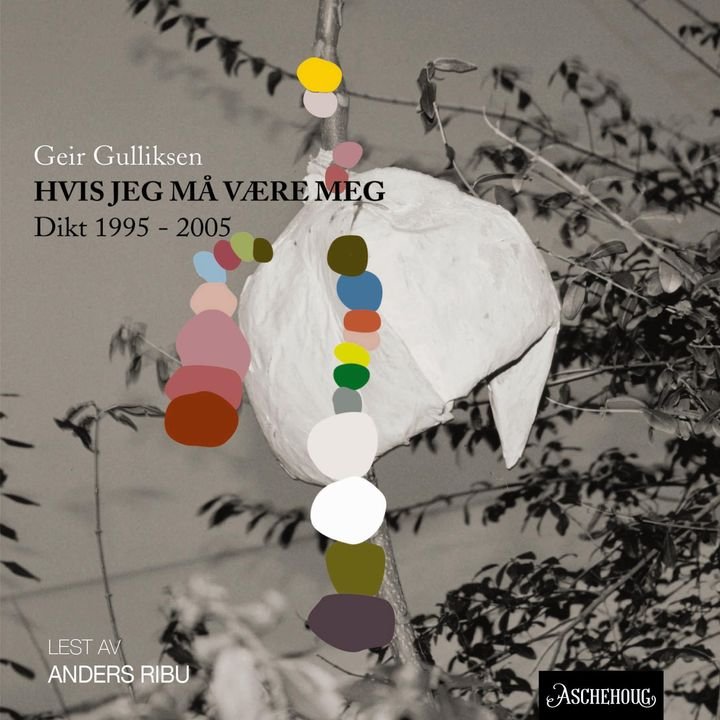 Hvis jeg må være meg - dikt 1995-2005