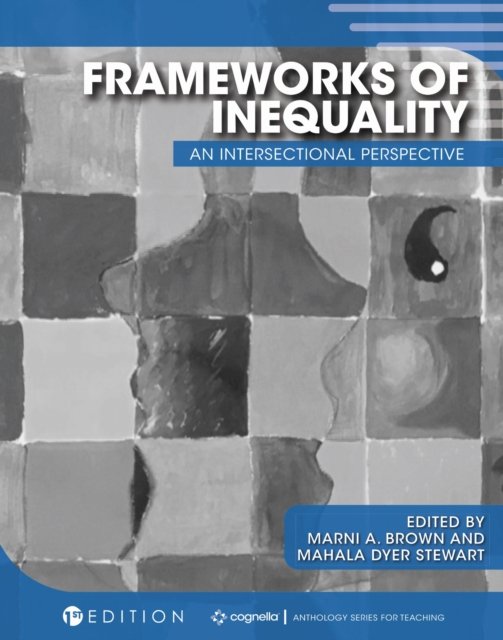 Frameworks of Inequality