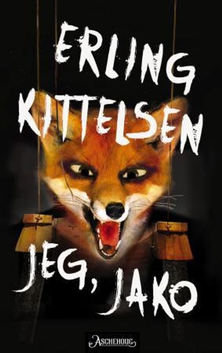Jeg, Jako - roman