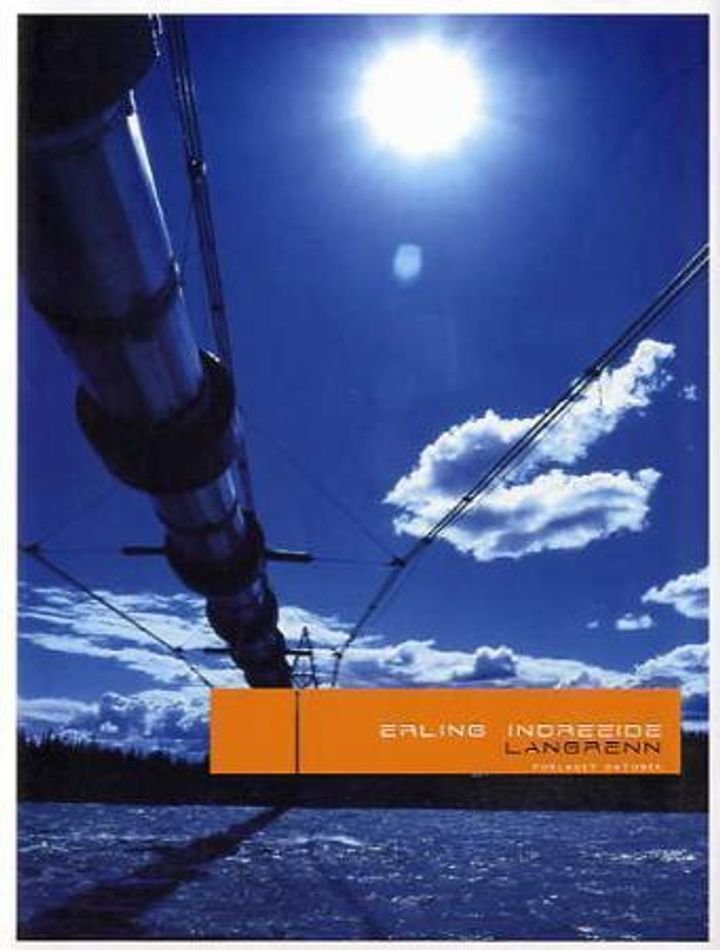 Langrenn - dikting 2004-2005 basert på verkelege hendingar : eit forsvarsskrift (teorien, himmelen og jorda)