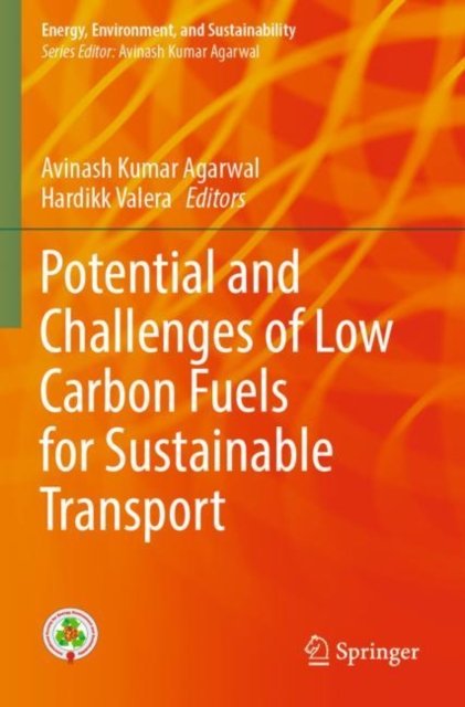 Potential and Challenges of Low Carbon Fuels for Sustainable Transport
