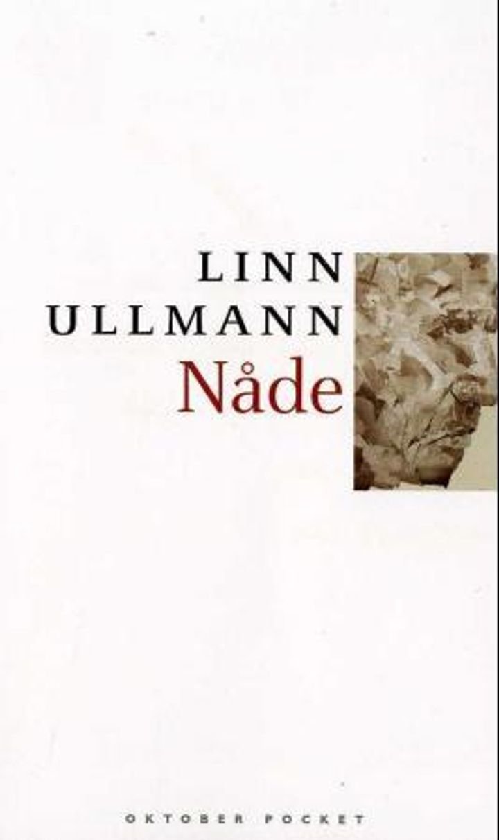 Nåde - roman