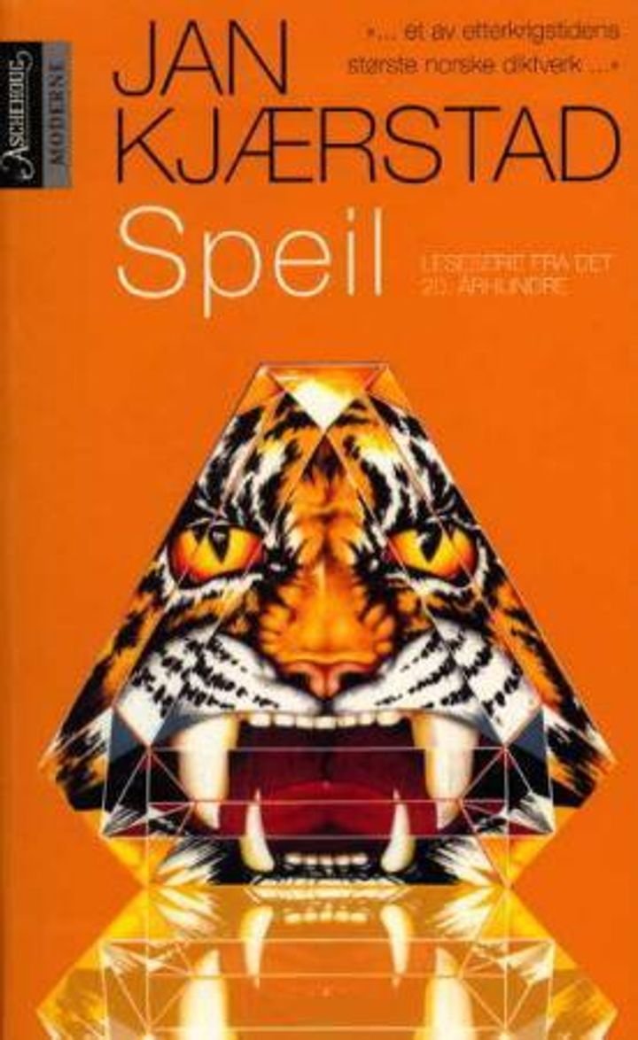 Speil - leseserie fra det 20. århundre