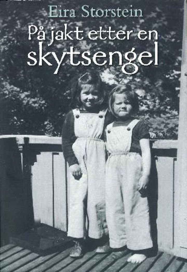 På jakt etter en skytsengel - roman