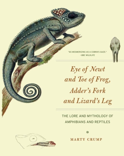 Eye of Newt and Toe of Frog, Adder`s Fork and Li – The Lore and Mythology of Amphibians and Reptiles