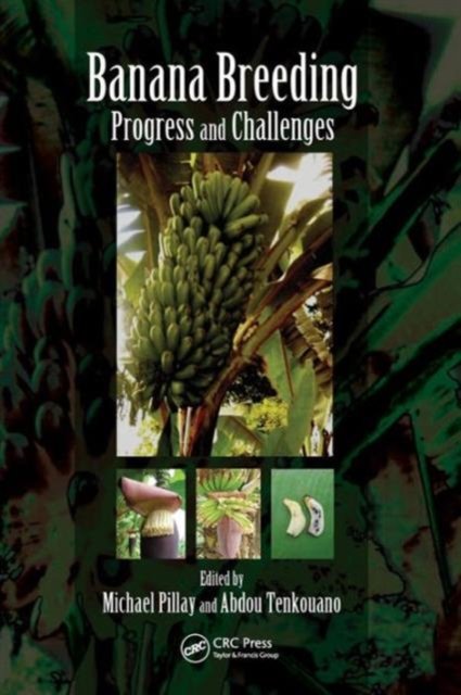 Banana Breeding