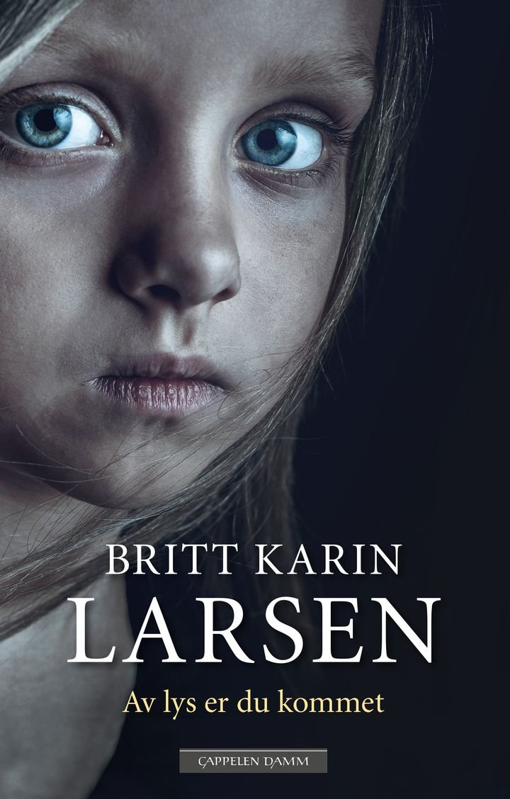 Av lys er du kommet - roman