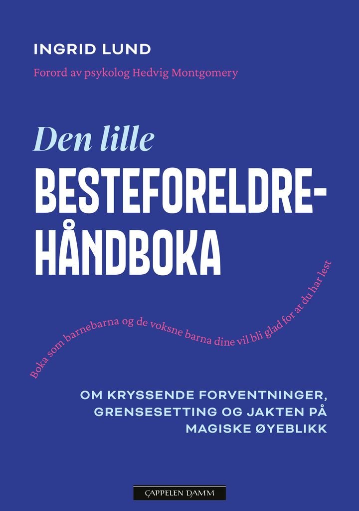 Den lille besteforeldrehåndboka - om kryssende forventninger, grensesetting og jakten på magiske øyeblikk