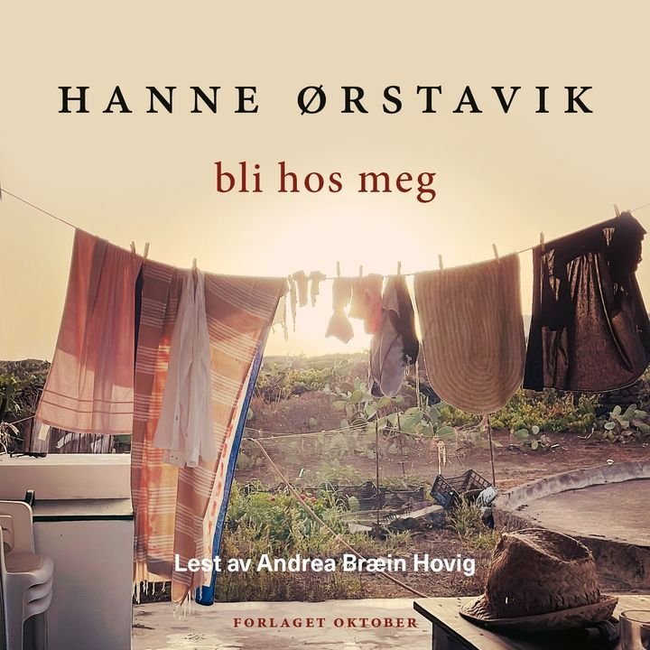 Bli hos meg - roman