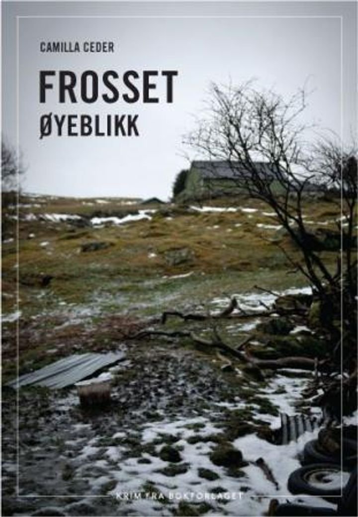 Frosset øyeblikk