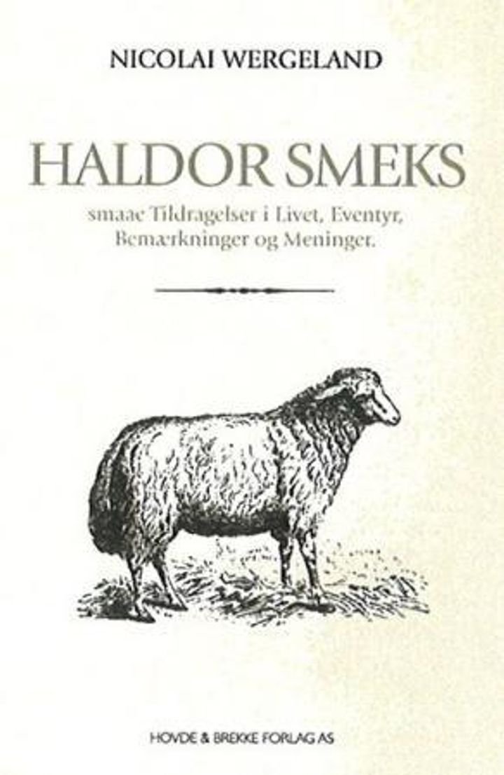 Haldor Smeks smaae Tildragelser i Livet, Eventyr, Bemærkninger og Meninger - et humoristisk Skrift i den yorickske Smag
