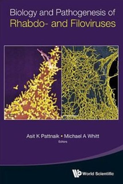 Biology And Pathogenesis Of Rhabdo- And Filoviruses