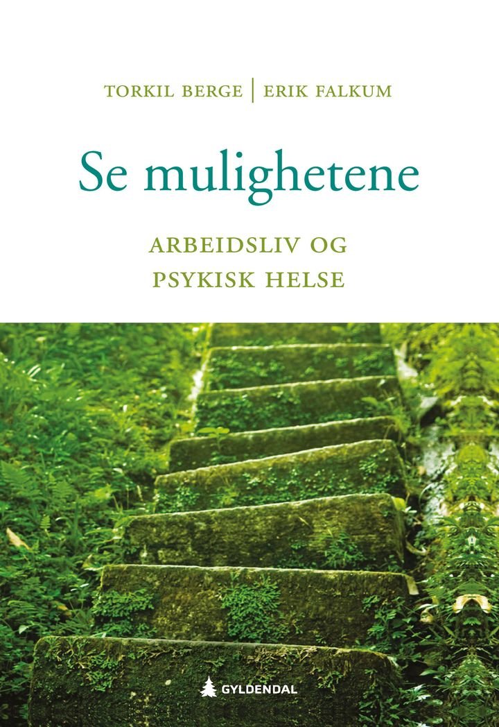 Se mulighetene - arbeidsliv og psykisk helse