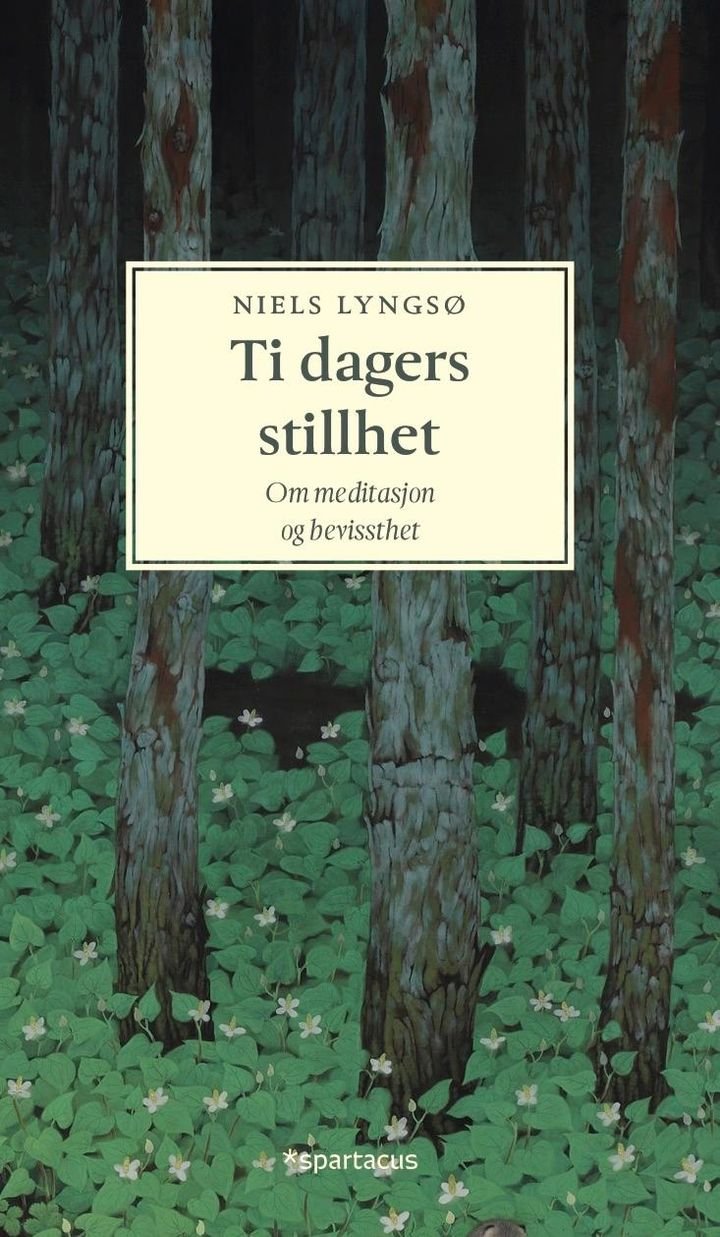 Ti dagers stillhet - om bevissthet og meditasjon