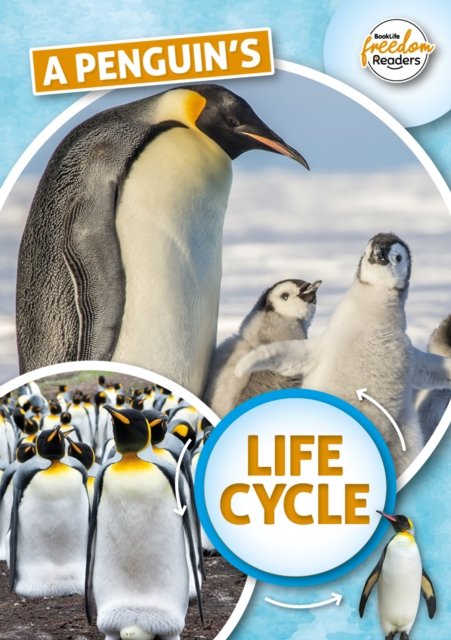 Penguin''s Life Cycle