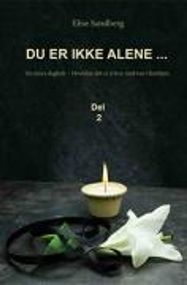 Du er ikke alene- - del 2 : en mors dagbok : hvordan det er å leve med rus i familien